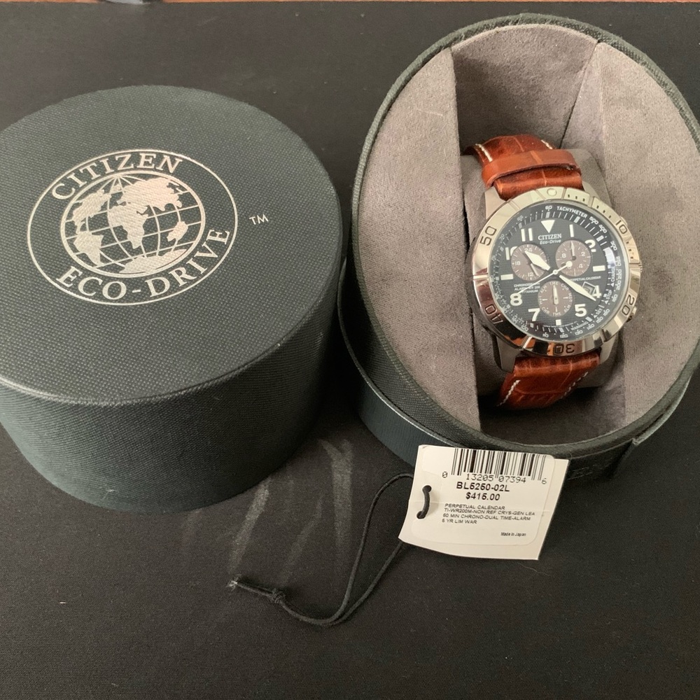 Citizen Eco Drive Brycen watch (BL5250-02L)